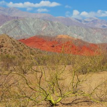 Green bush with brown, red and silver mountains